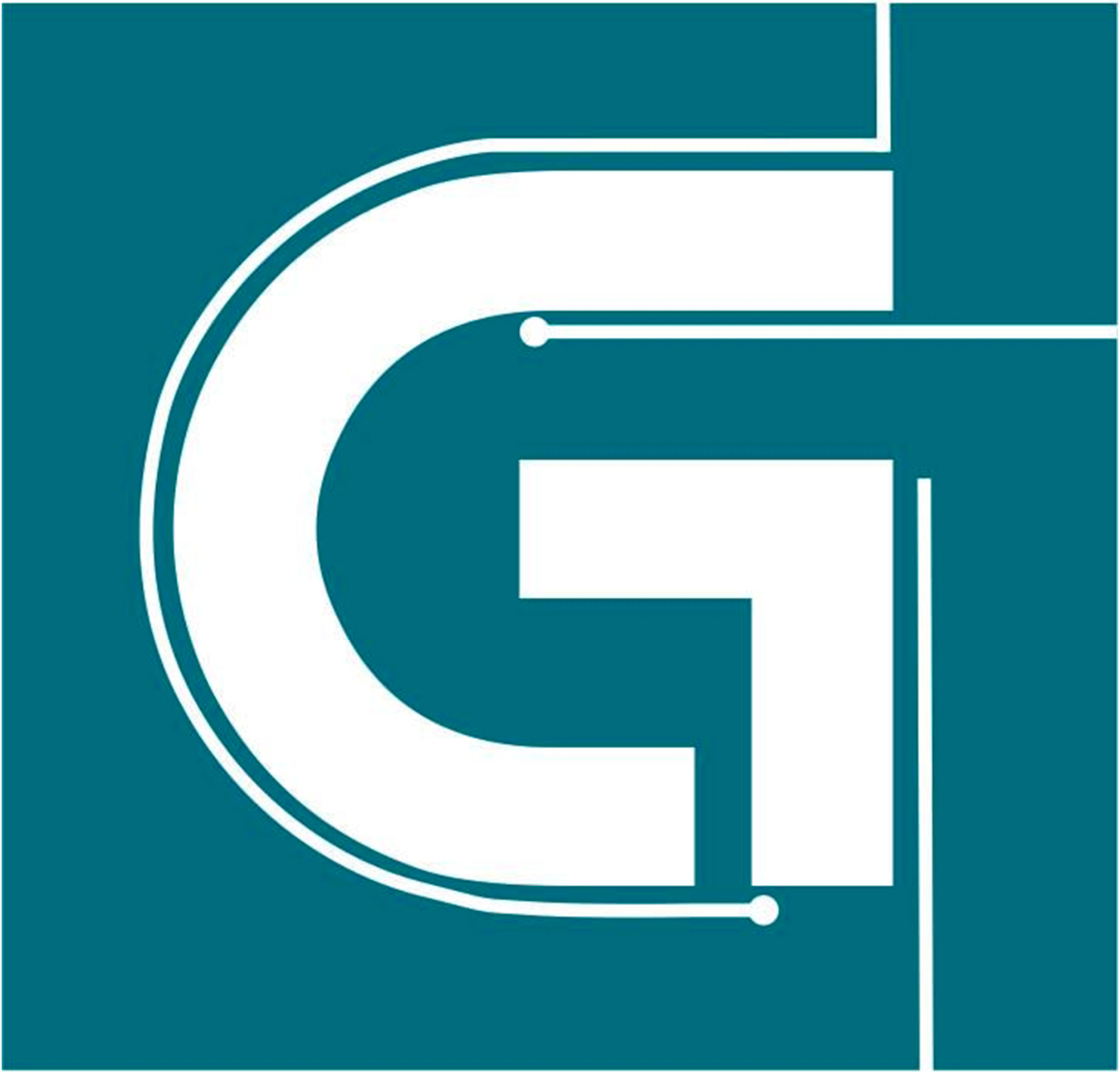 logo gnetic