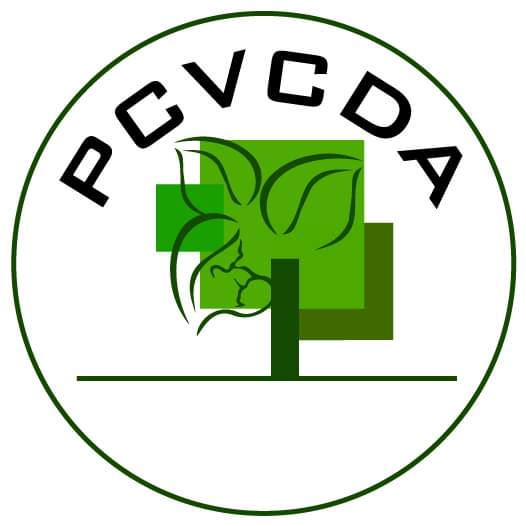 logo pcvcda